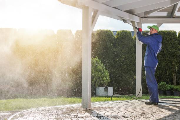 Best Solar Panel Cleaning  in Italy, TX